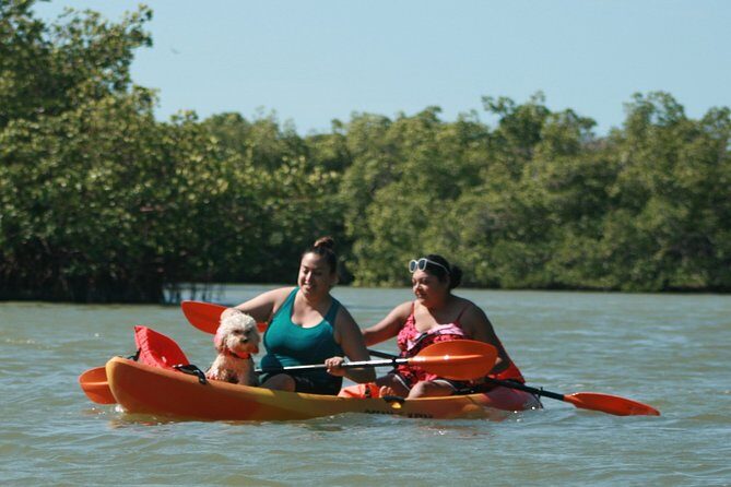 Nauti Exposures - Guided kayak tour through the Mangroves - The Small-Group Advantage