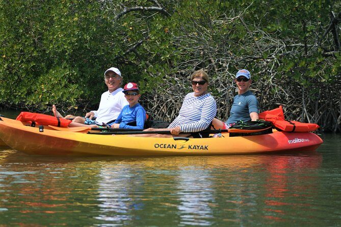 Nauti Exposures - Kayak rental Naples, FL - The Sum Up: Why This Tour Is a Great Choice