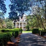 Nawlins Luxury: Laura, Oak Alley or Whitney Plantation Tour w/Transportation - Final Thoughts
