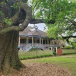 Nawlins Luxury: Laura Plantation Tour w/Transportation - An In-Depth Look at the Laura Plantation Tour
