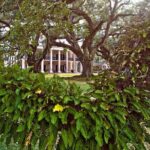 Nawlins Luxury: Oak Alley Plantation & Pontoon Swamp Tour w/Transportation - Why This Tour Works