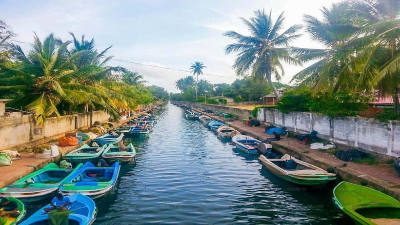 Negombo City : Explore the Fish Market & Dutch Canal by Boat - Final Thoughts: Who Will Love This Tour?