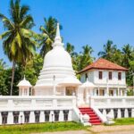 Negombo City Tour from Colombo - Who Will Love This Tour?