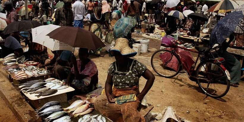 Negombo: City Tour from Colombo - Exploring Negombo’s Rich Coastal Charm