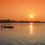 Negombo Lagoon (Mangrove ) Boat Excursion - A Detailed Look at the Negombo Lagoon Boat Excursion