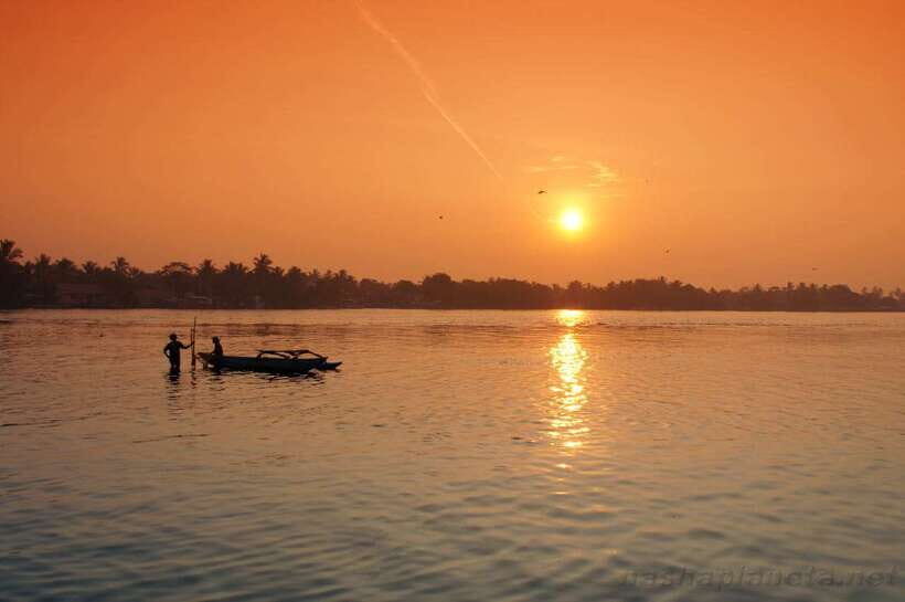 Negombo Lagoon (Mangrove ) Boat Excursion - A Detailed Look at the Negombo Lagoon Boat Excursion