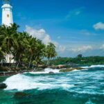 Negombo: Turtle hatchery, River safari, moon stone & Galle - What Travelers Say