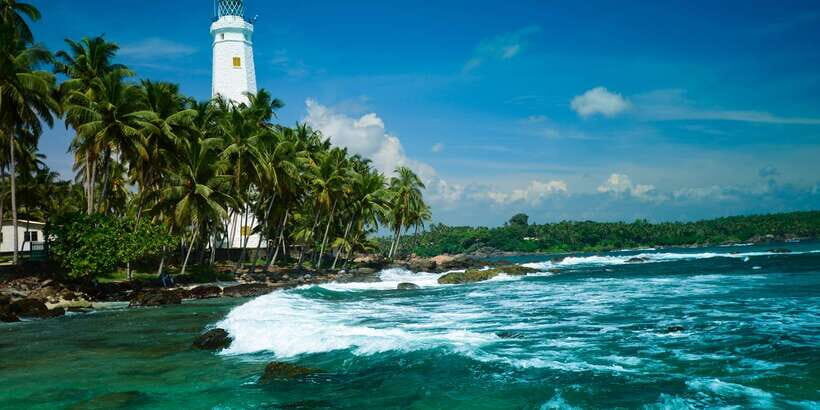 Negombo: Turtle hatchery, River safari, moon stone & Galle - What Travelers Say