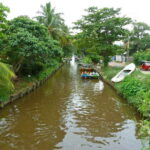 Negombo:Dutch Canal, Lagoon, Muthurajawela Private Boat Tour - A Closer Look at the Tour Experience