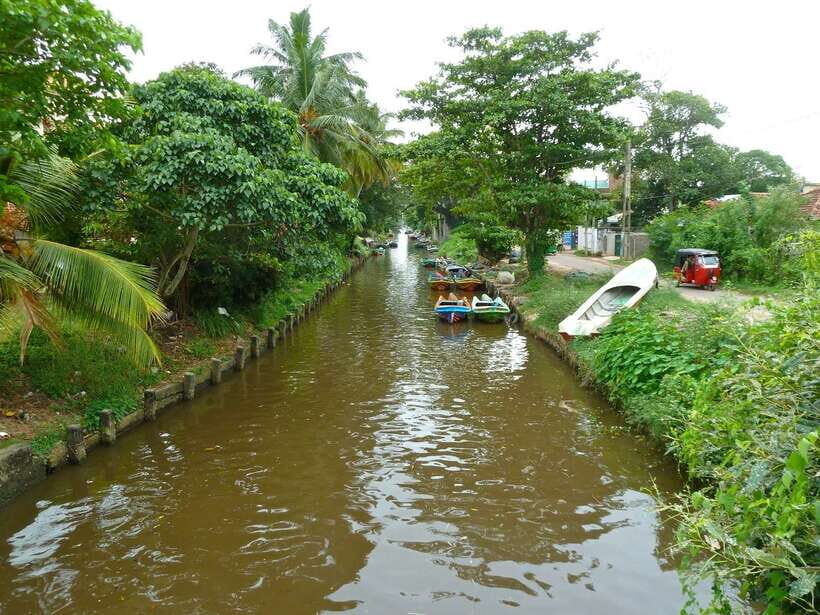 Negombo:Dutch Canal, Lagoon, Muthurajawela Private Boat Tour - A Closer Look at the Tour Experience