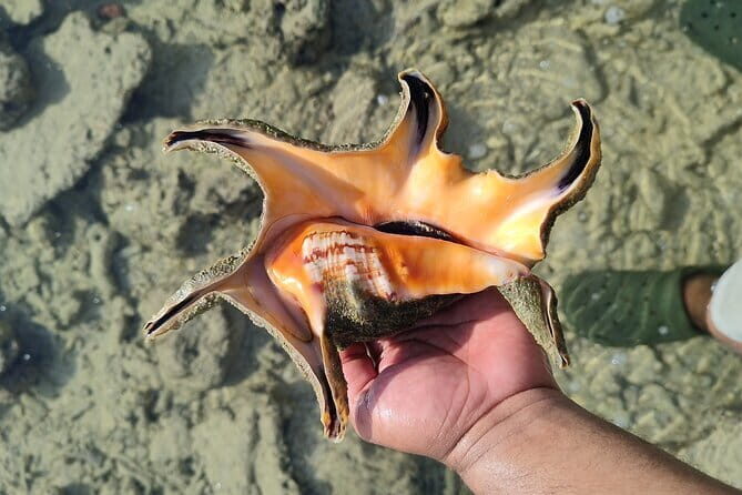 Neil Bridge Marine Trail - Frequently Asked Questions