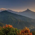 Nepal Cultural Highlights Tour in 10 Days - Wildlife and Nature in Chitwan