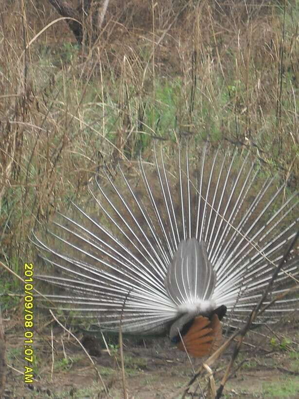 Nepal: Kathmandu and Chitwan National Park Tour - What’s Included & What You Should Consider