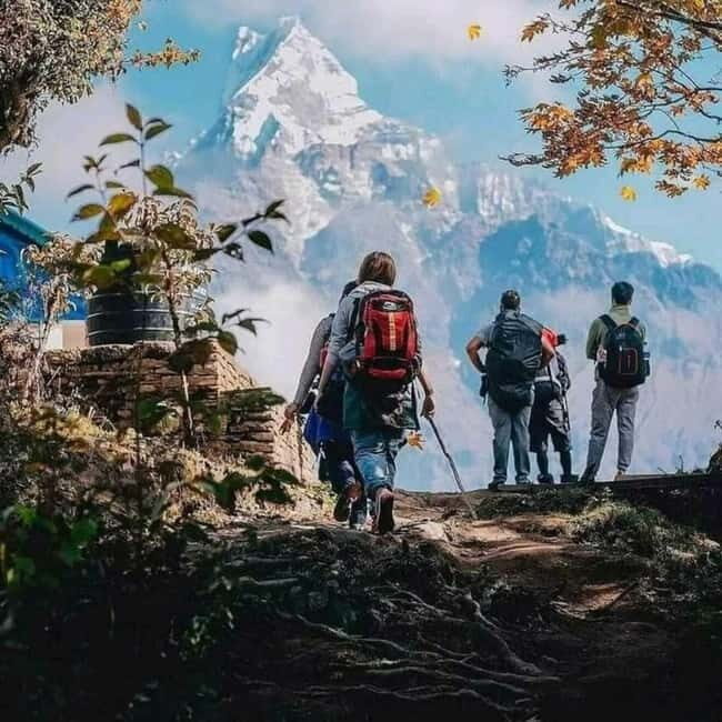 Nepal: Small Group 4-day Mardi Himal Trekking - Exploring the 4-Day Mardi Himal Trek in Detail