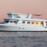 Nerissa Sounds: Live Jazz Brunch Cruise on San Diego Bay - Is It Worth the Price?