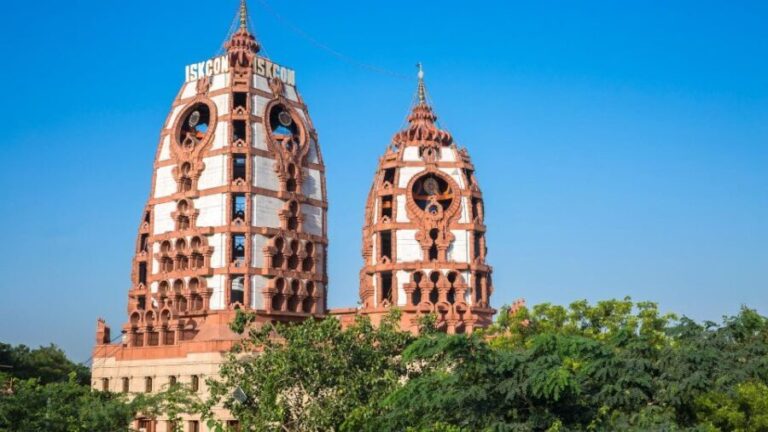 New Delhi: Private Guided Tour of Temples with Transfers - Value and Practicality