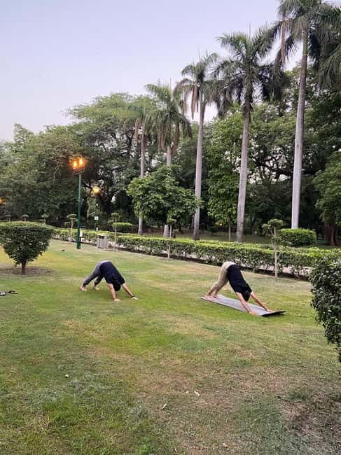 New Delhi: Soul Soothening Sun Yoga in Lodhi Gardens - What You Can Expect and Why It Matters