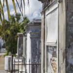 New Orleans City and Cemetery Sightseeing Tour - The Transport and Group Experience