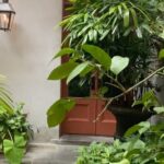 New Orleans Courtyard Cocktails: Happy Hour Mixology Class - Who Should Consider This Tour