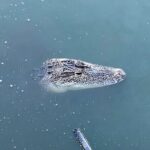 New Orleans Driving Tour of Bayou St. John, City Park, Treme etc - Final Thoughts