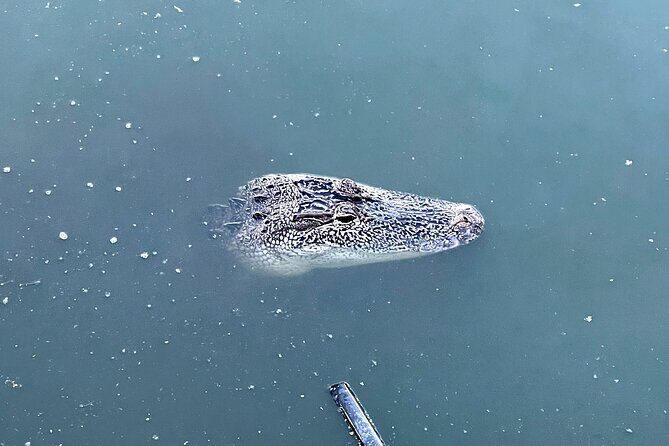 New Orleans Driving Tour of Bayou St. John, City Park, Treme etc - Final Thoughts