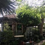 New Orleans Esplanade Ridge: A Self-Guided Audio Tour - Who Will Love This Tour?