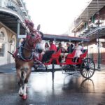 New Orleans French Quarter and More Carriage Ride - The Experience: Comfort and Atmosphere