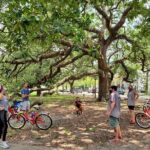 New Orleans Garden District and Cemetery Bike Tour - Who Should Consider This Tour?