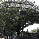 New Orleans Private Vehicle City Tour - FAQ