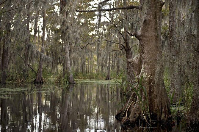 New Orleans Swamp Tour Boat Adventure - Final Reflection