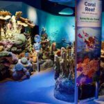 New York Aquarium Admission - A Detailed Look at the New York Aquarium Experience