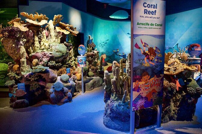 New York Aquarium Admission - A Detailed Look at the New York Aquarium Experience