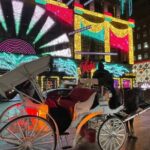 New York City Christmas Lights Private Horse Carriage Ride - The Experience in Detail