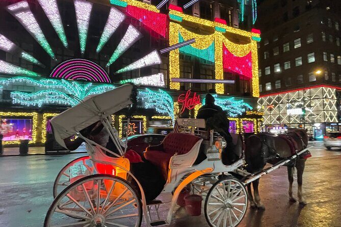 New York City Christmas Lights Private Horse Carriage Ride - The Experience in Detail