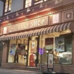 New York City Panoramic Skyline Tour - Frequently Asked Questions (FAQs)