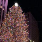 New York Holiday Lights and Sights Walking Tour - An In-Depth Look at the New York Holiday Lights and Sights Walking Tour
