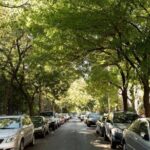 New York Street Food Guided Walking Tour with a Guide - FAQs