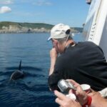 Newfoundland Puffin and Whale Watch Cruise - FAQ