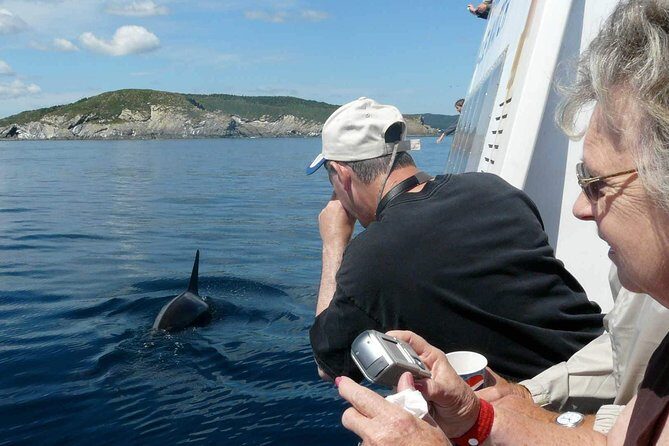 Newfoundland Puffin and Whale Watch Cruise - FAQ