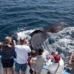 Newport Beach Whale and Dolphin Watching Cruise - Why This Tour Is a Great Choice