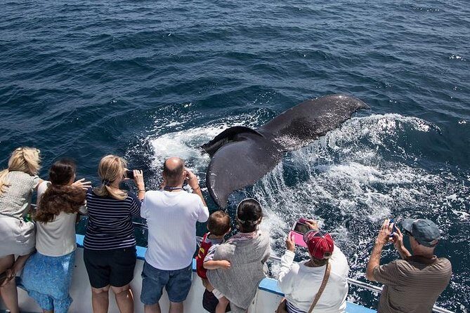 Newport Beach Whale and Dolphin Watching Cruise - Why This Tour Is a Great Choice
