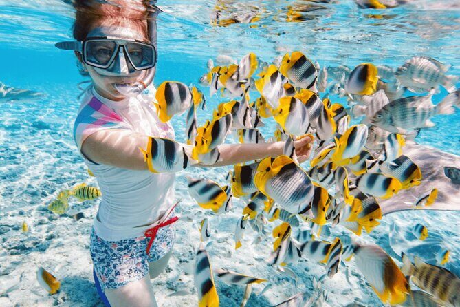 Nha Trang 3 Island VIP Tour - Who Will Enjoy This Tour?