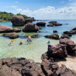 Nha Trang City 3 Island Tour With Mud Bath Snorkeling - Transportation and Group Size