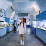 Nha Trang: City Highlights Tour with Local Guide - A Full Breakdown of the Itinerary