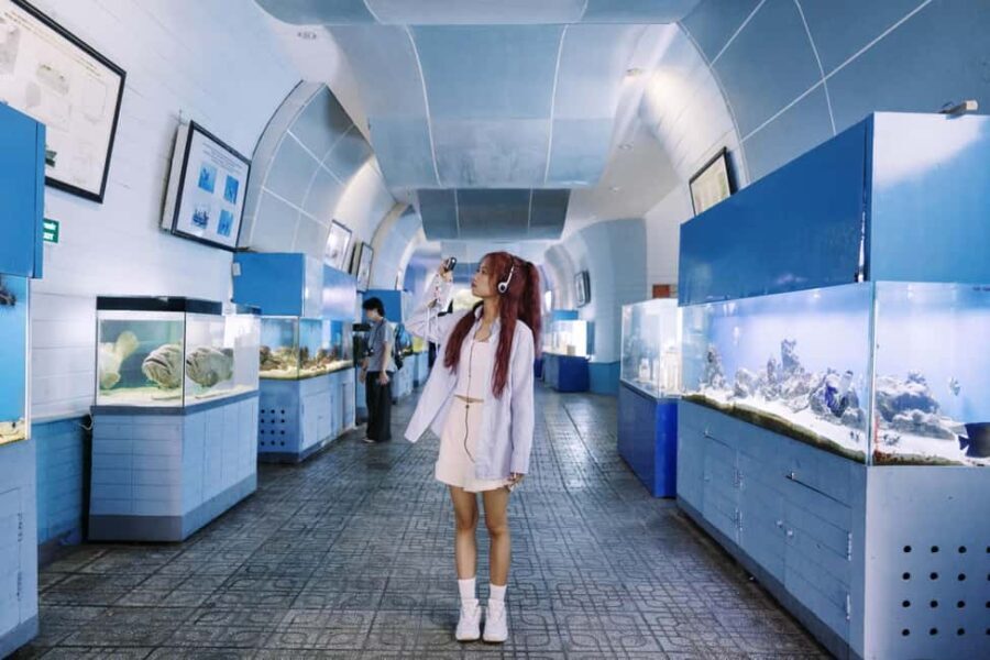 Nha Trang: City Highlights Tour with Local Guide - A Full Breakdown of the Itinerary