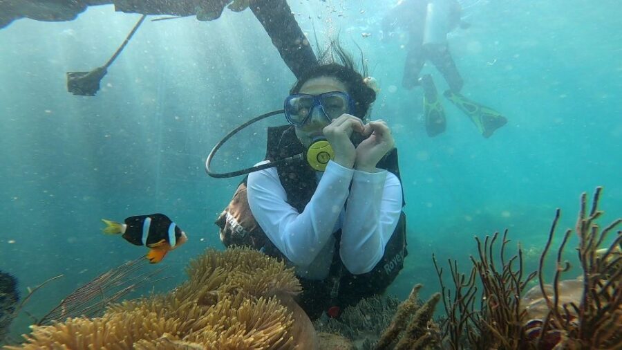 Nha Trang: Coral Reef Snorkeling and Floating Bar Party - Who Should Consider This Tour?