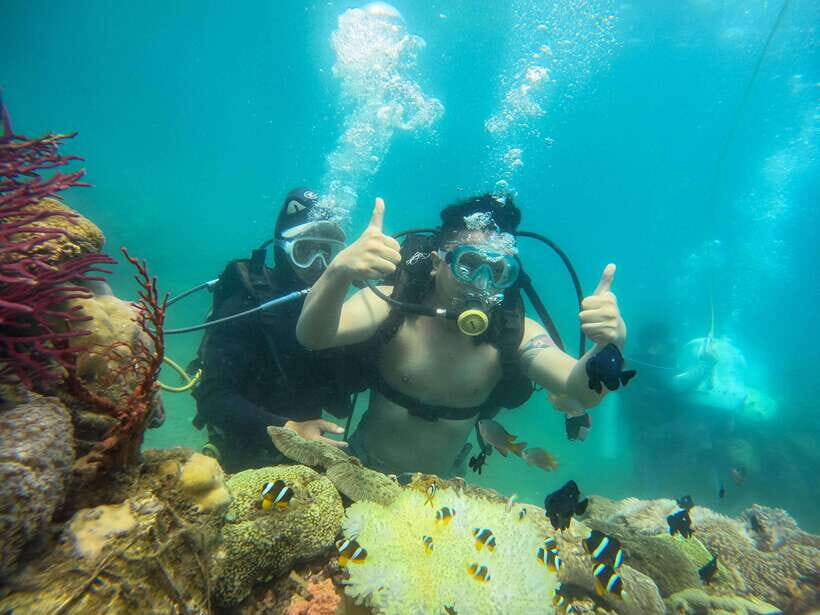 Nha Trang: Hon Mun Island Marine Park Snorkeling & Mud Bath - Why This Tour is Worth Your Time