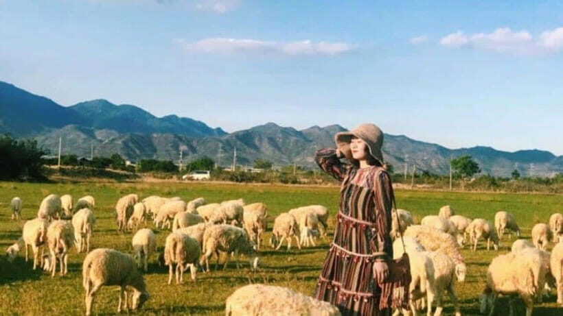 Nha Trang Ninh Thuan: Coral Coast, Grape Gardens, Suoi Tien - Practical Details & Tips for Travelers