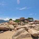 Nha Trang: Private Half Day city tour with pickup at hotel - A Closer Look at What to Expect