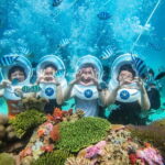 Nha Trang: Scuba Diving Tour with Lunch and Drinks - Morning: Hotel Pickup and Scenic Transfer